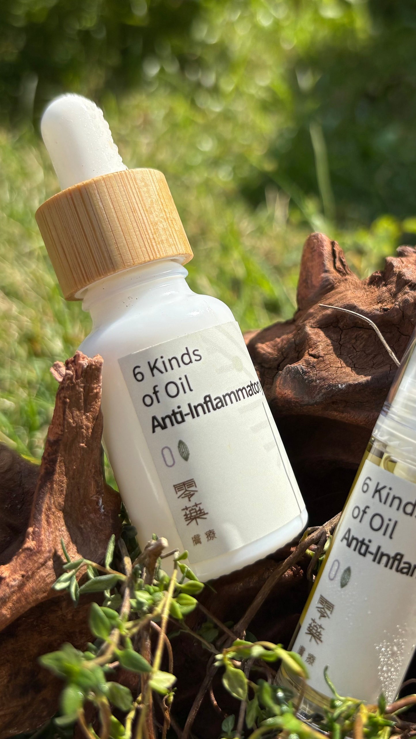 6 Kinds of Oil - Anti-Inflammatory 13.5g I 27g - Fixed Price